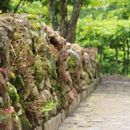 Casa Vigneto Octávio no Vale dos Vinhedos Bento Gonçalves Exterior foto