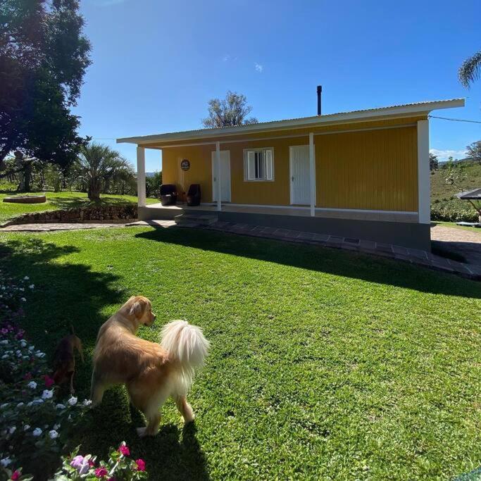 Casa Vigneto Octávio no Vale dos Vinhedos Bento Gonçalves Exterior foto