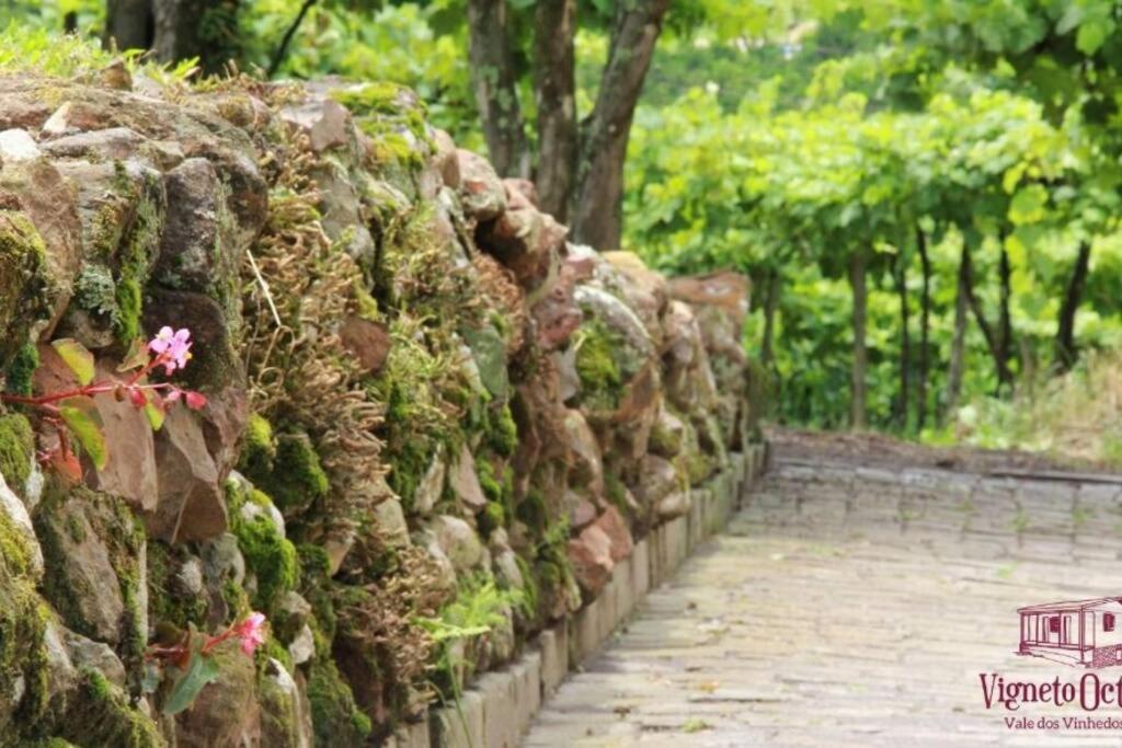 Casa Vigneto Octávio no Vale dos Vinhedos Bento Gonçalves Exterior foto