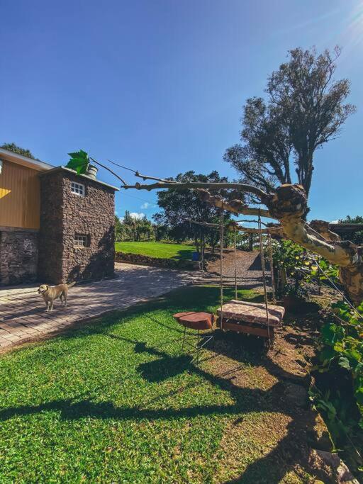 Casa Vigneto Octávio no Vale dos Vinhedos Bento Gonçalves Exterior foto
