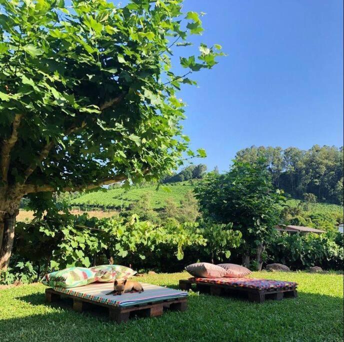 Casa Vigneto Octávio no Vale dos Vinhedos Bento Gonçalves Exterior foto